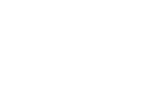 Señor de los Cielos